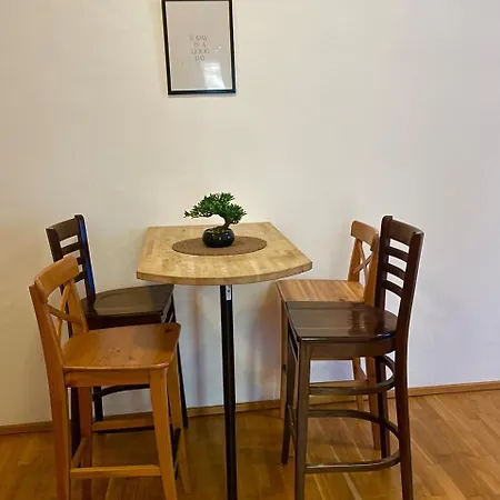 Perfect Location! Large In Klagenfurt Center 公寓